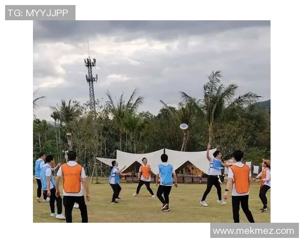 飞盘战术新趋势上海飞盘队引领潮流的十大策略解析