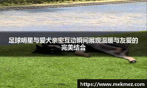 足球明星与爱犬亲密互动瞬间展现温暖与友爱的完美结合