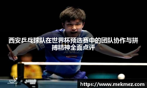西安乒乓球队在世界杯预选赛中的团队协作与拼搏精神全面点评